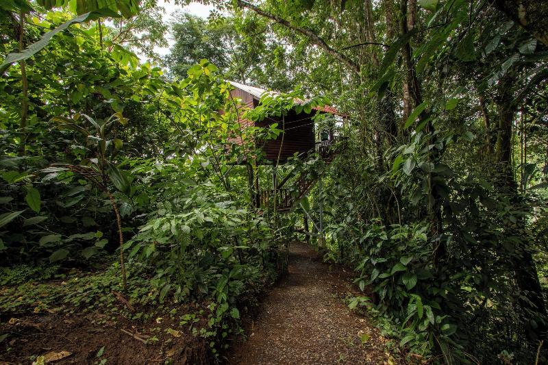 Arenal Rustic Lodge image