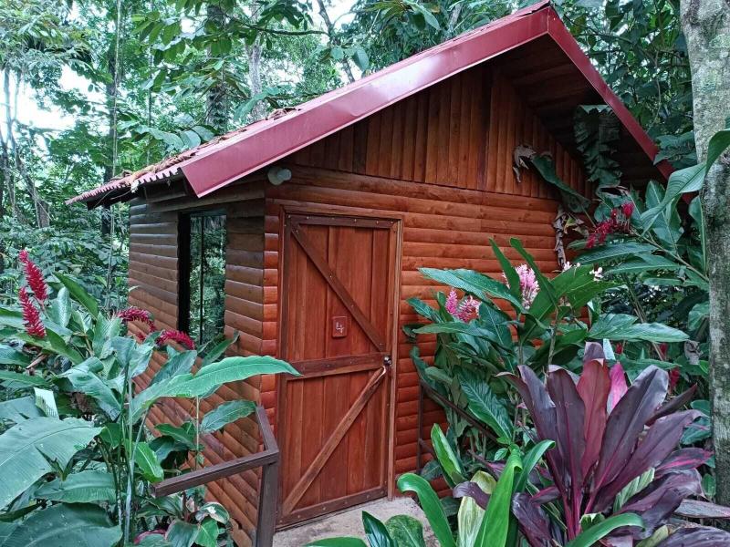 Arenal Rustic Lodge image