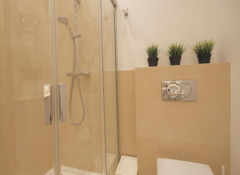 IRS ROYAL APARTMENTS - IRS Kwartal Kamienic image