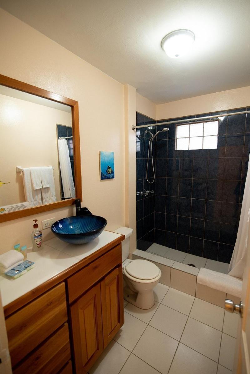 Belize Tropical Dream Villas image