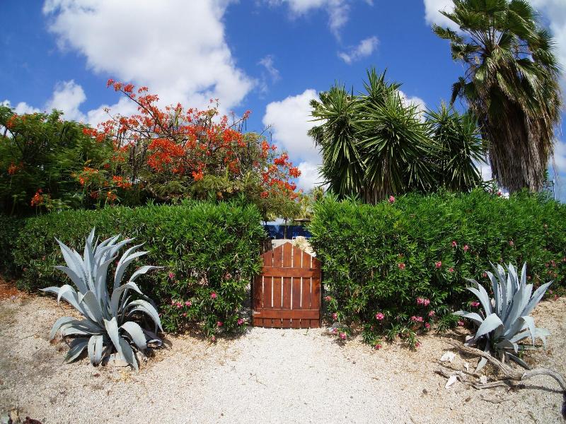Caribbean Chillout image