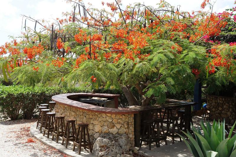 Caribbean Chillout image