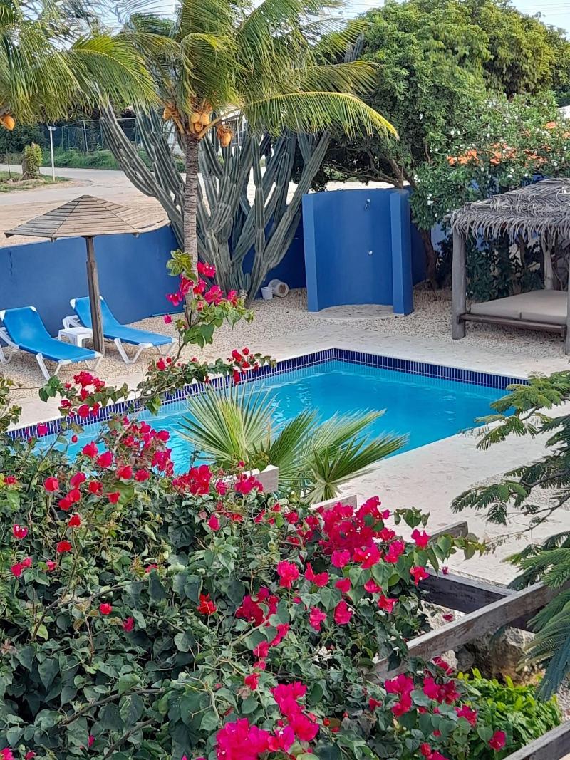 Caribbean Chillout image