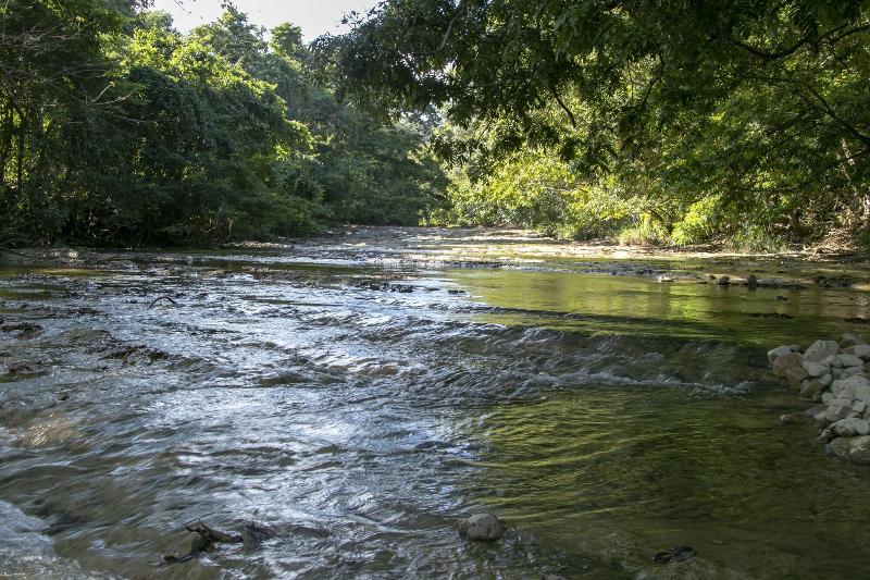 Villas Cabuya Beach & Forest image