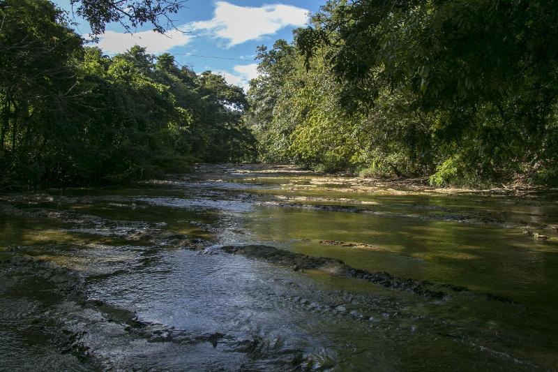 Villas Cabuya Beach & Forest image
