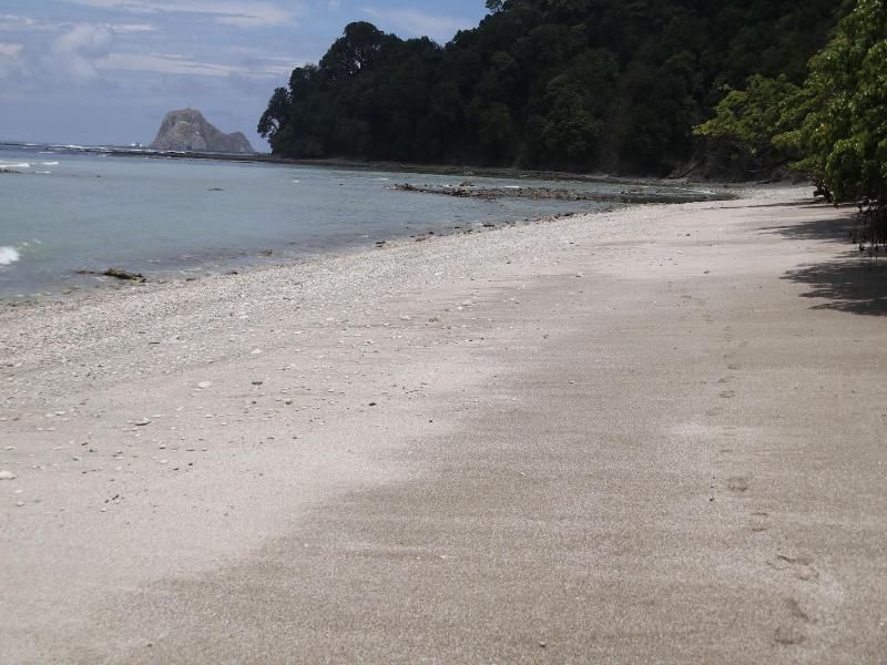 Villas Cabuya Beach & Forest image