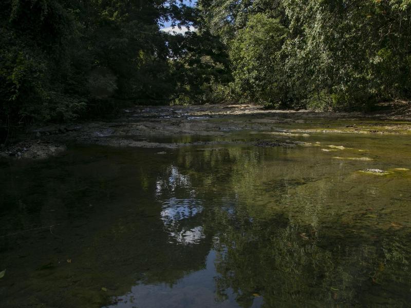 Villas Cabuya Beach & Forest image