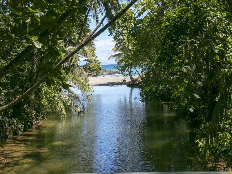 Villas Cabuya Beach & Forest image