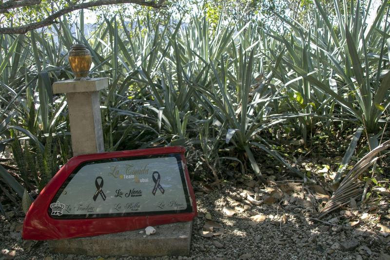 Villas Cabuya Beach & Forest image