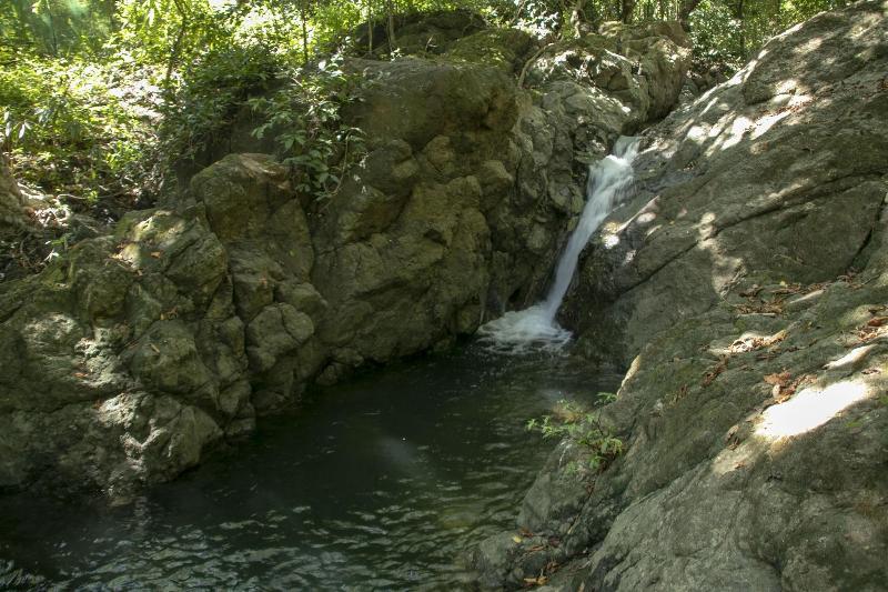 Villas Cabuya Beach & Forest image