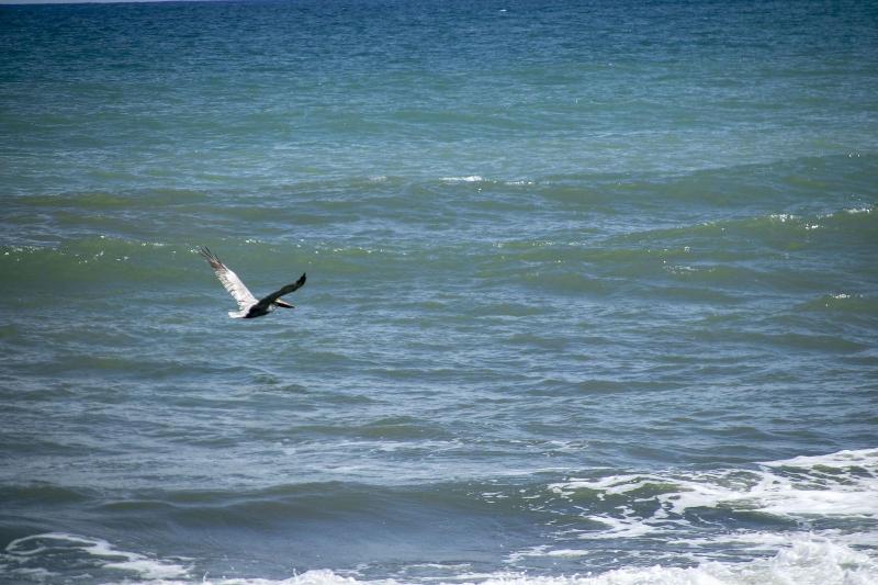 Villas Cabuya Beach & Forest image