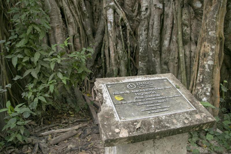 Villas Cabuya Beach & Forest image