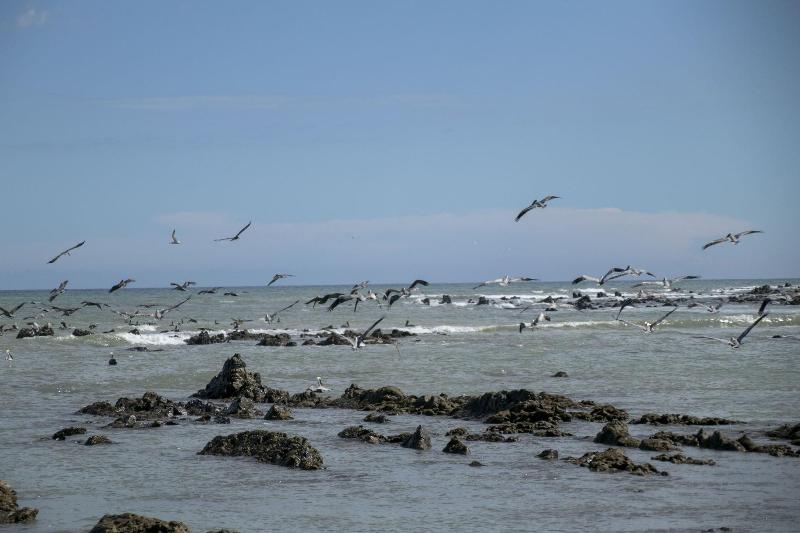 Villas Cabuya Beach & Forest image