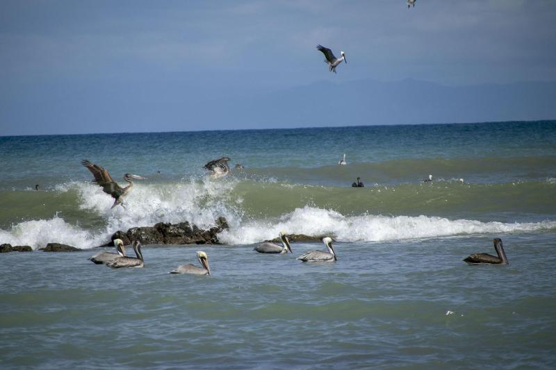 Villas Cabuya Beach & Forest image