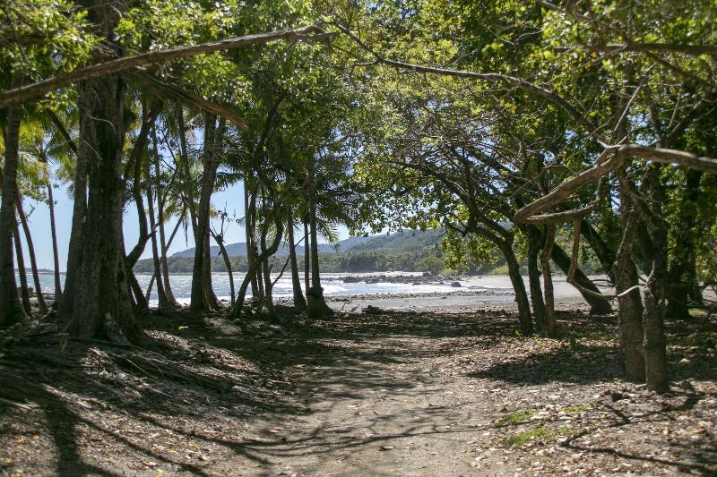 Villas Cabuya Beach & Forest image