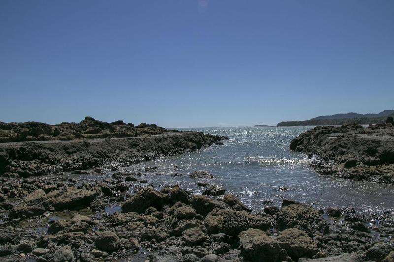 Villas Cabuya Beach & Forest image