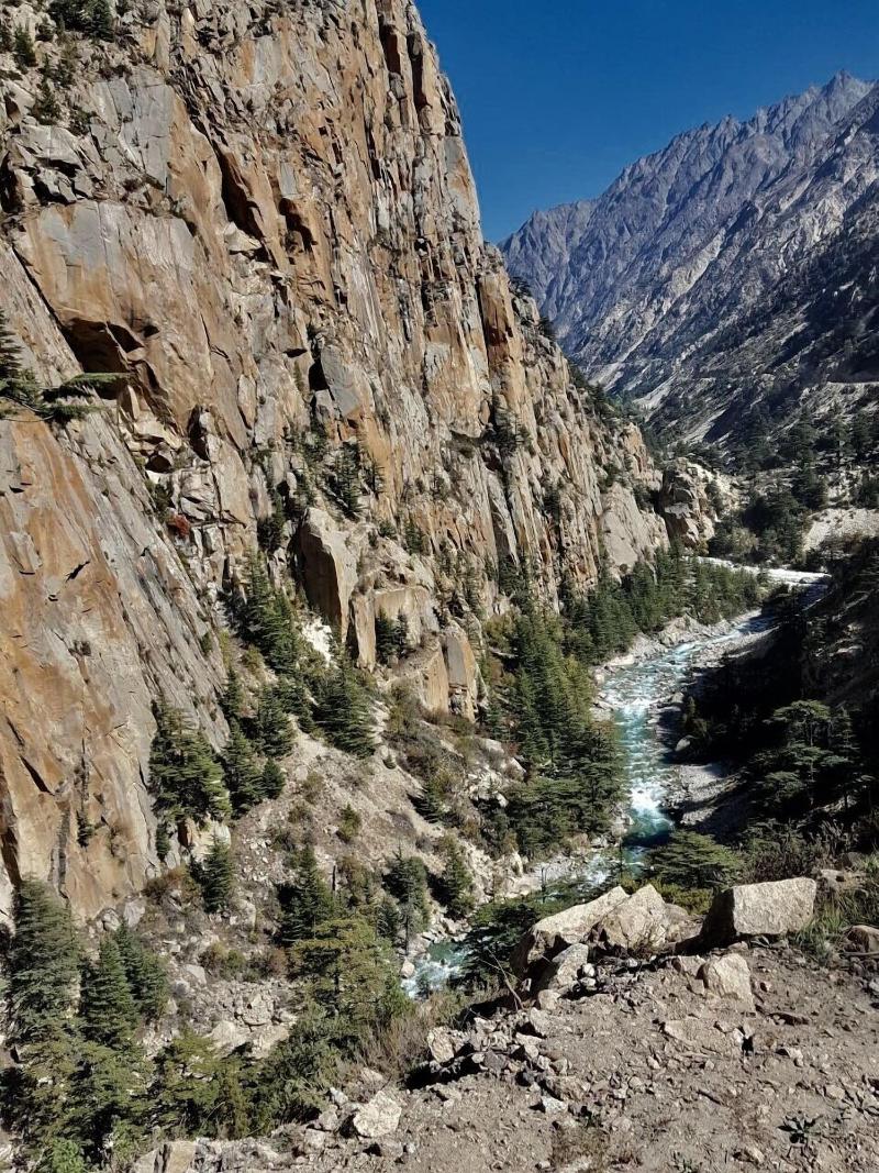 Prakriti The Retreat image