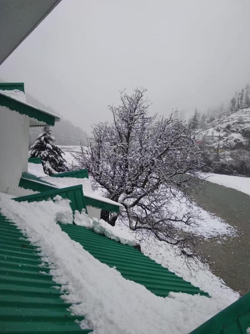 Prakriti The Retreat image