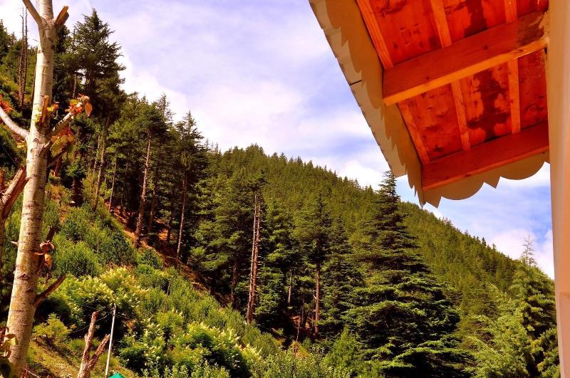Prakriti The Retreat image