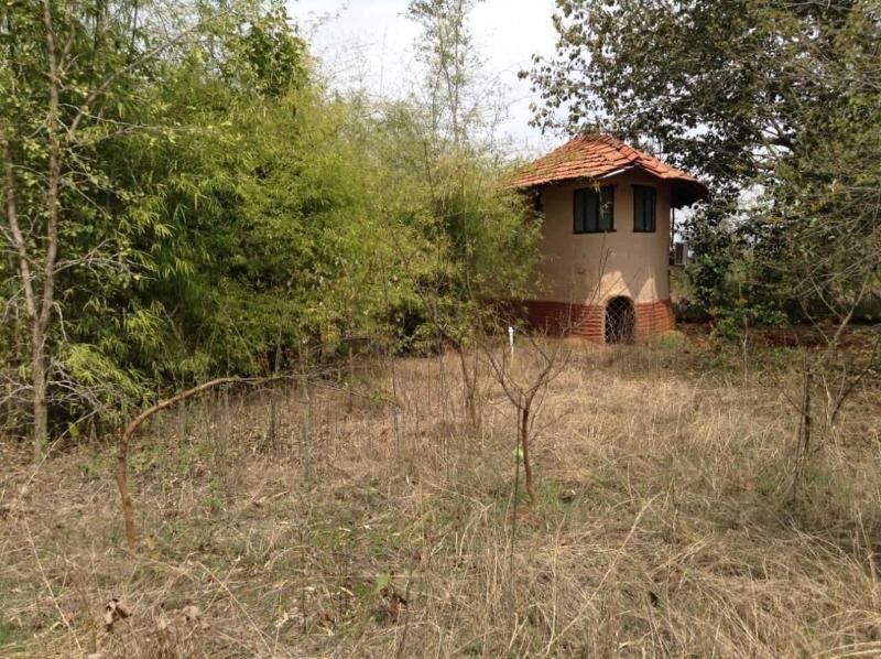 Monsoon Forest Bandhavgarh By Beyond Stay