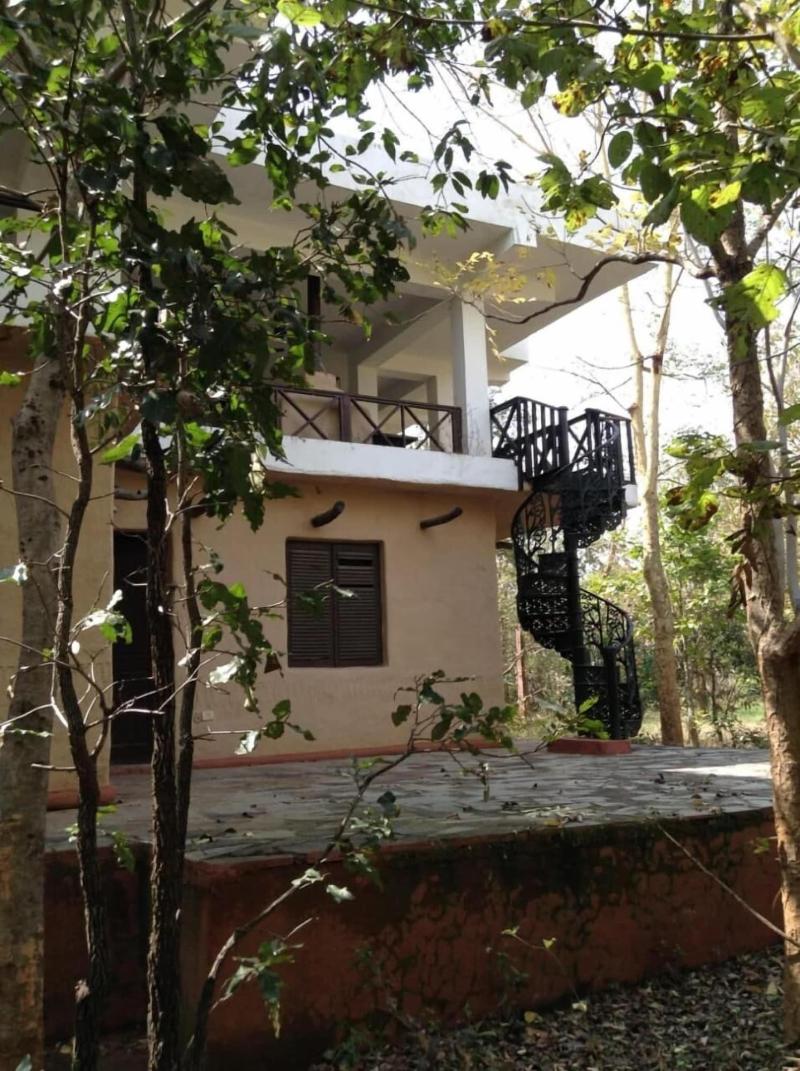 Monsoon Forest Bandhavgarh By Beyond Stay