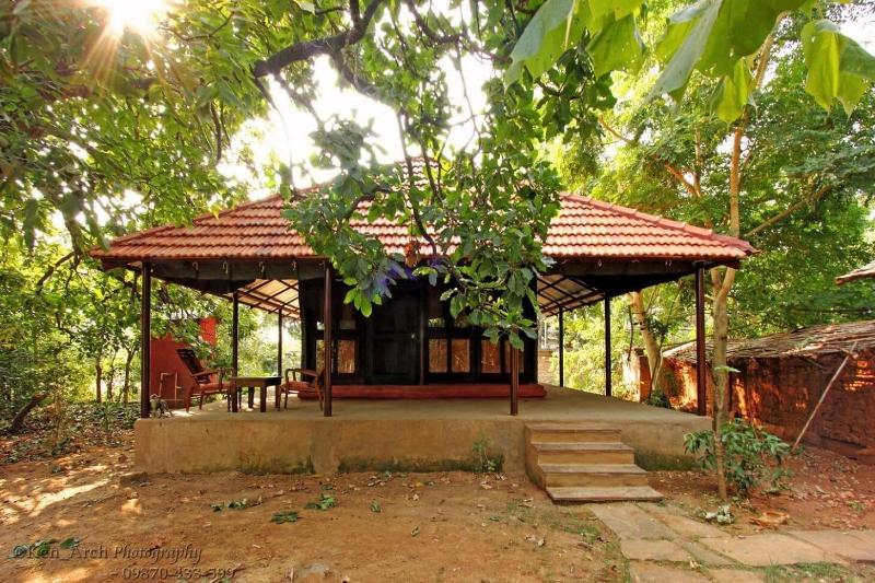 Monsoon Forest Bandhavgarh By Beyond Stay
