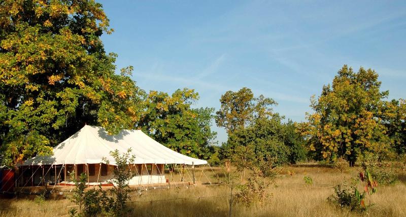 Monsoon Forest Bandhavgarh By Beyond Stay