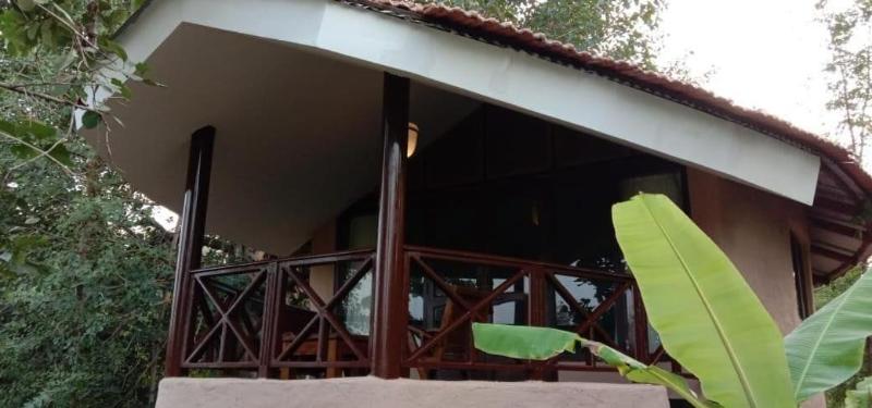 Monsoon Forest Bandhavgarh By Beyond Stay