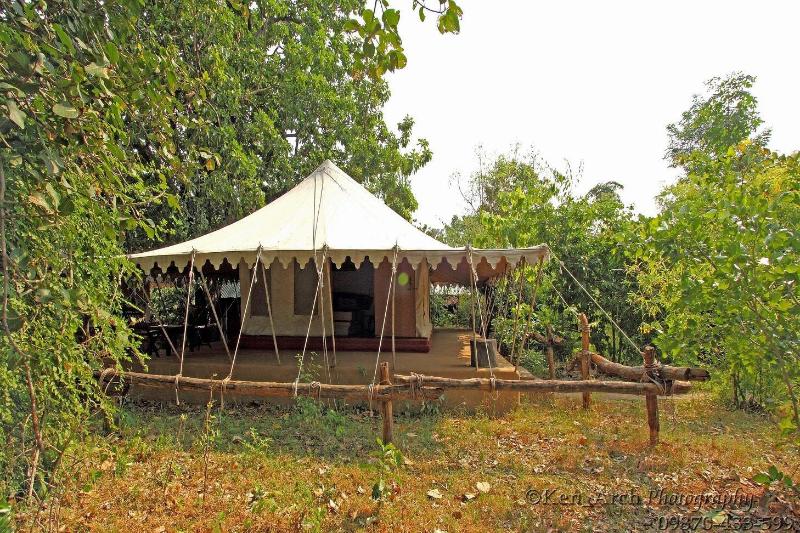 Monsoon Forest Bandhavgarh By Beyond Stay