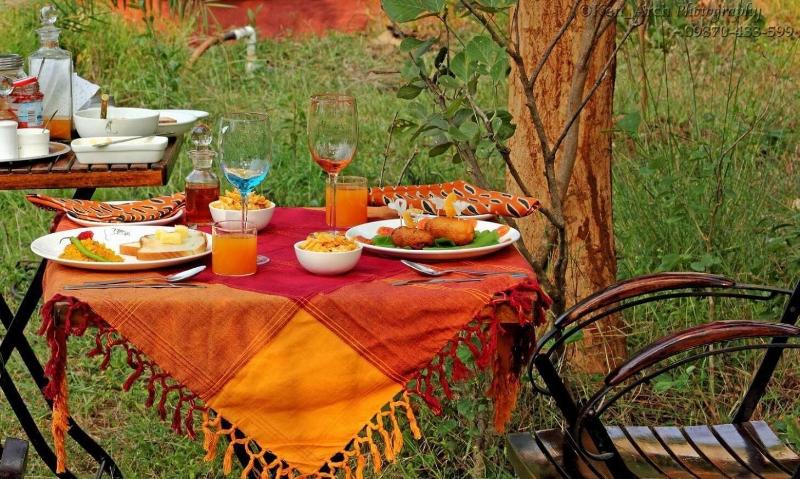 Monsoon Forest Bandhavgarh By Beyond Stay