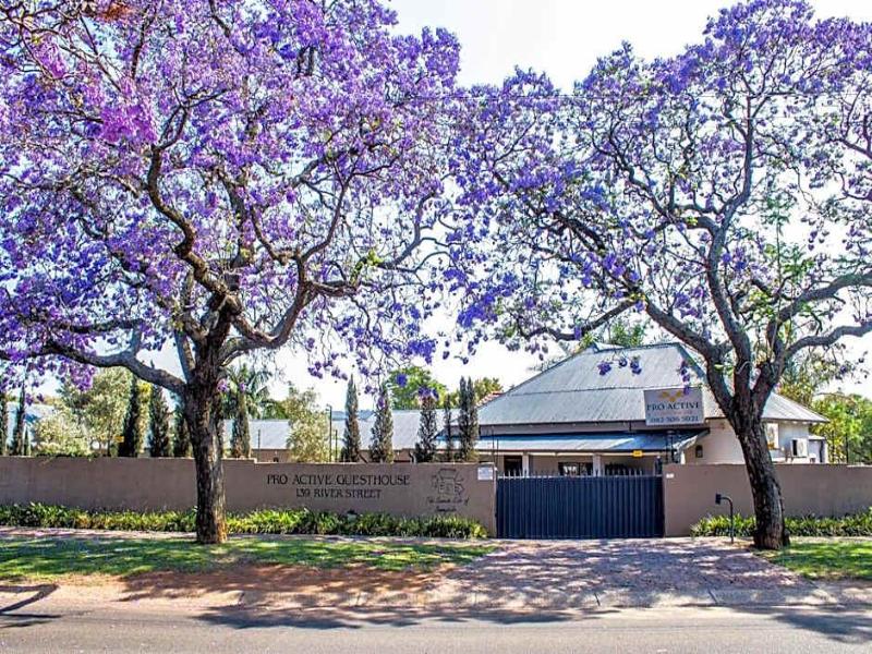 Pro Active Guest House image