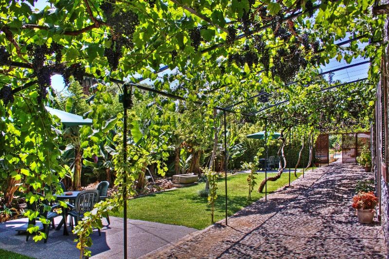 Casa Das Vinhas image