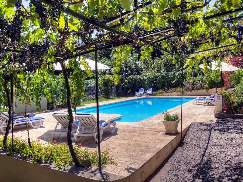 Casa Das Vinhas image