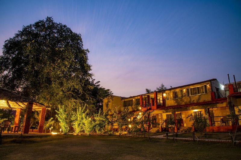 Greetoe Camp Panna, Panna