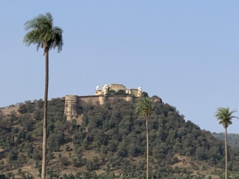 Hotel Sariska Manor