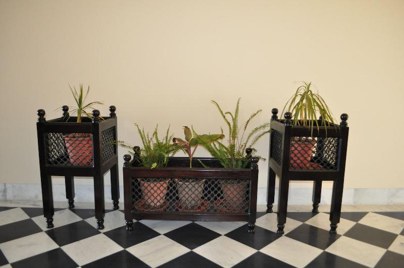 Hotel Sariska Manor