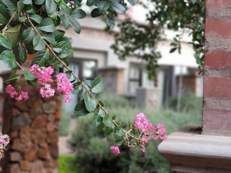 Maison De Leo Luxury Guesthouse image