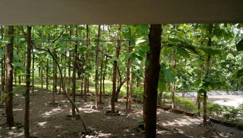 Forest Village Holiday Homes image