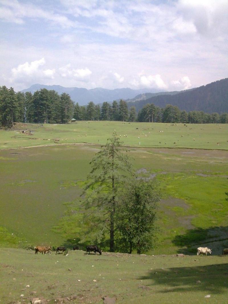Vardaan Hotels Patnitop
