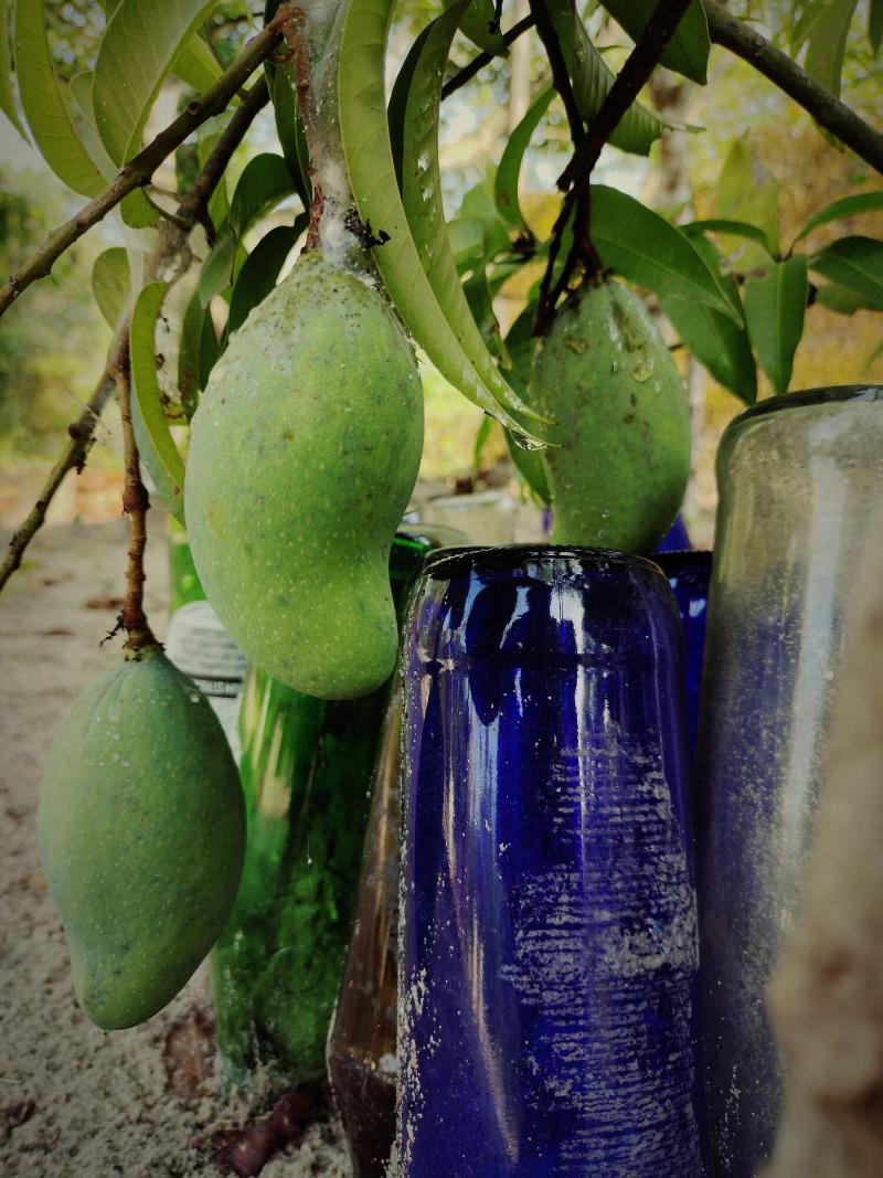 Achayans Homestay image