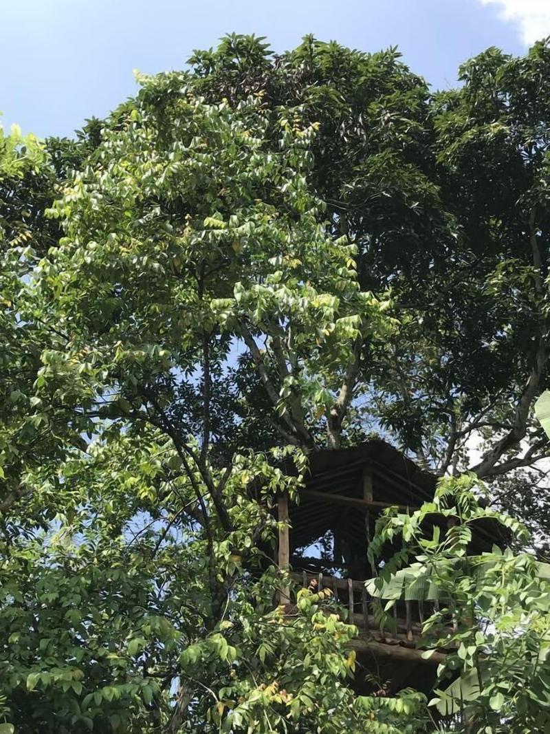 Plantation Retreat image