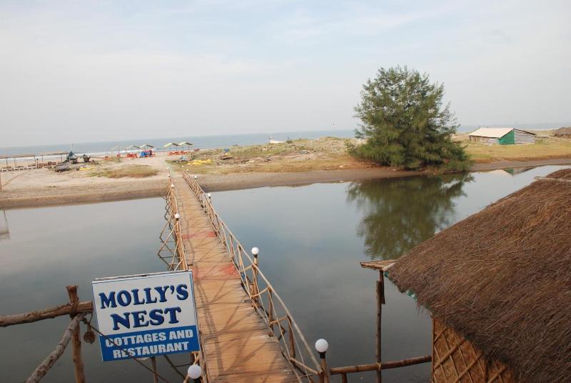 Molly S Nest image