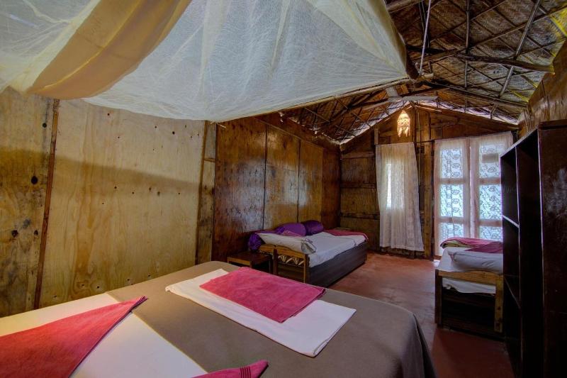 Molly S Nest image