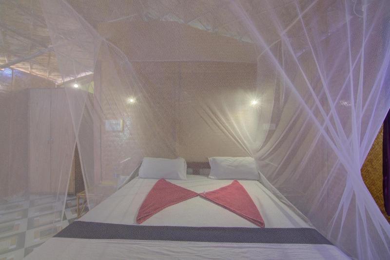 Molly S Nest image