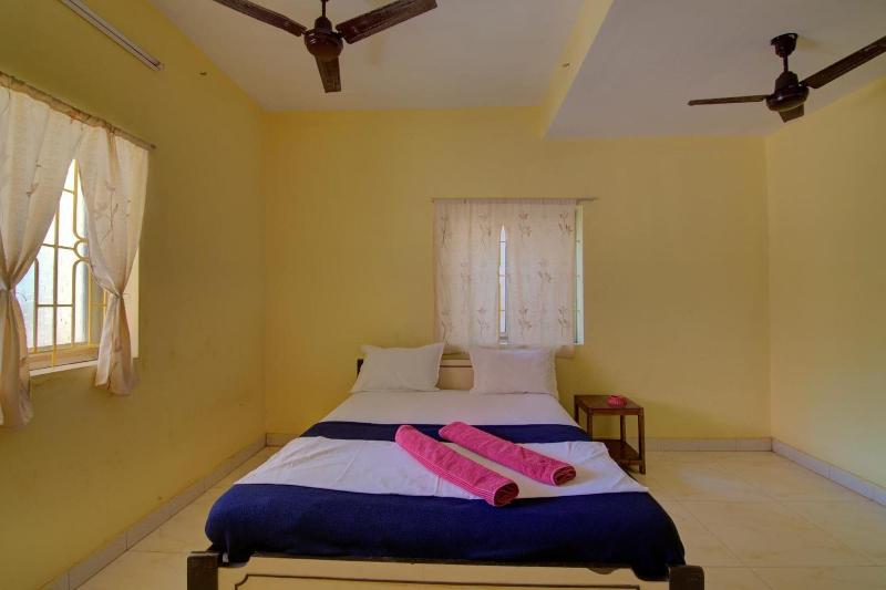 Molly S Nest image