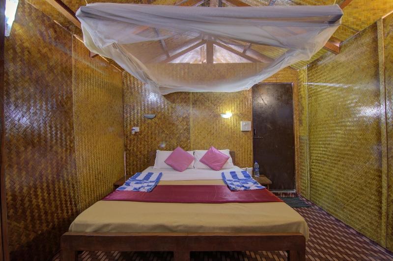 Molly S Nest image