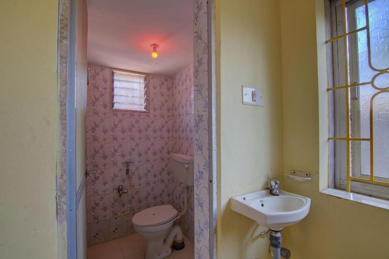 Molly S Nest image