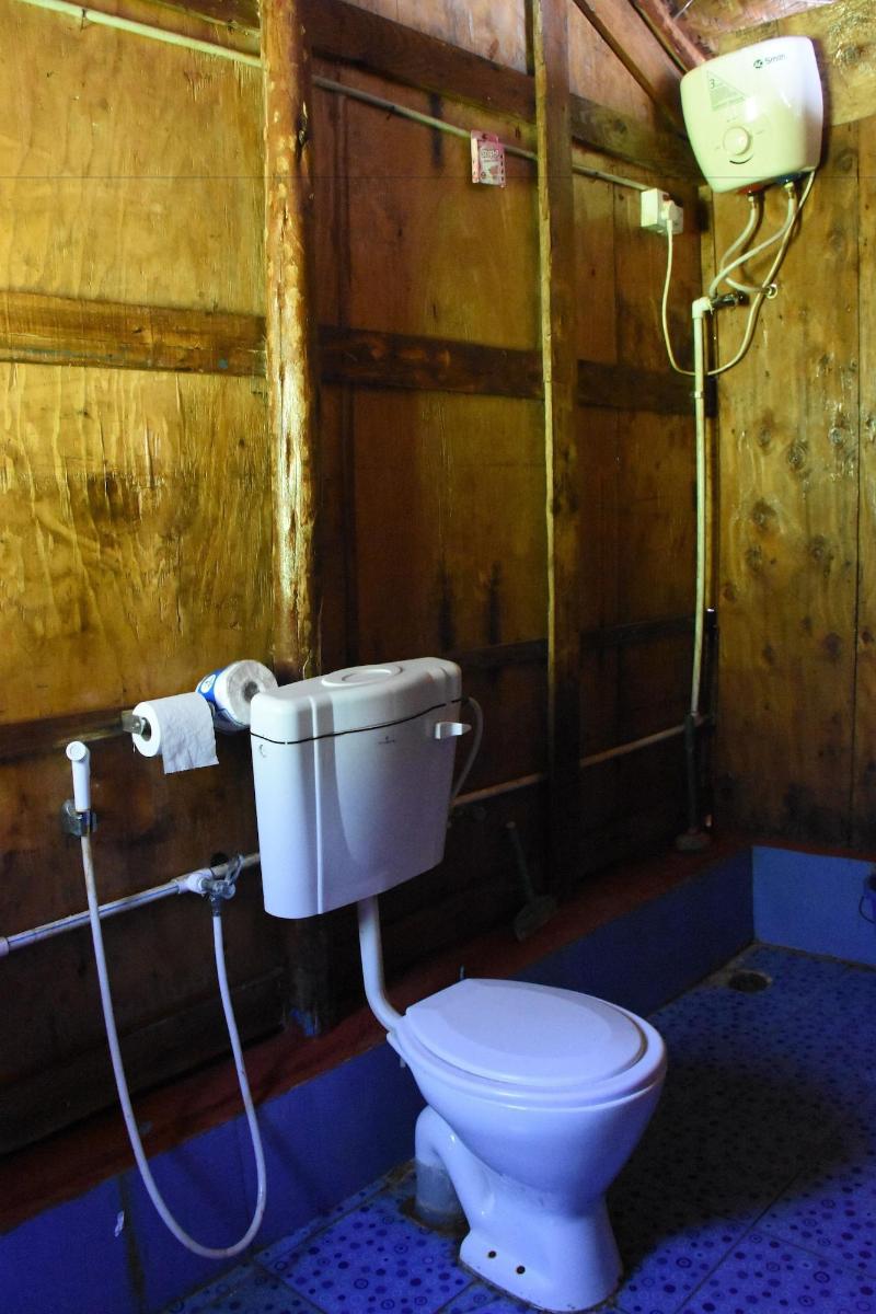 Molly S Nest image