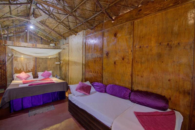 Molly S Nest image