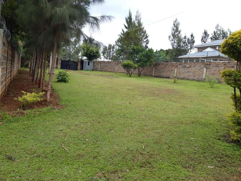 Intelbliss Resorts image
